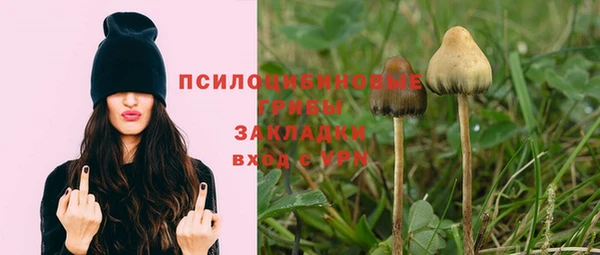 кокс Алексин