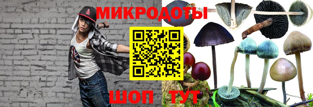 Галлюциногенные грибы мицелий Заводоуковск