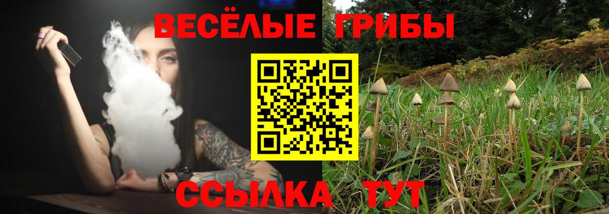 Заводоуковск  МЕТАДОН  МАРИХУАНА  Кокаин  Купить наркотики  МЕФ кристаллы  Вход с VPN  ГАШ 