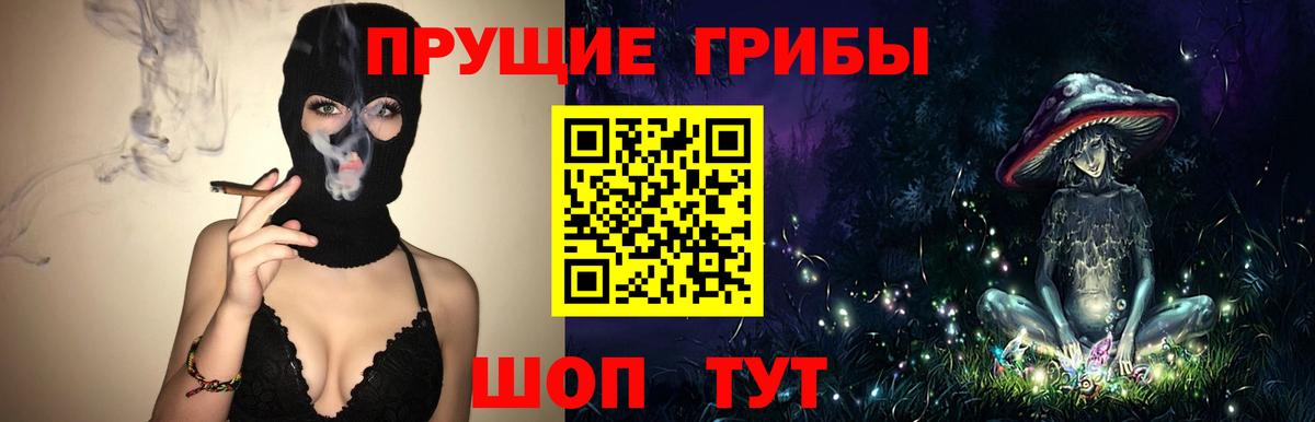 Псилоцибиновые грибы GOLDEN TEACHER  Вход с VPN  Заводоуковск  Псилоцибиновые грибы GOLDEN TEACHER 